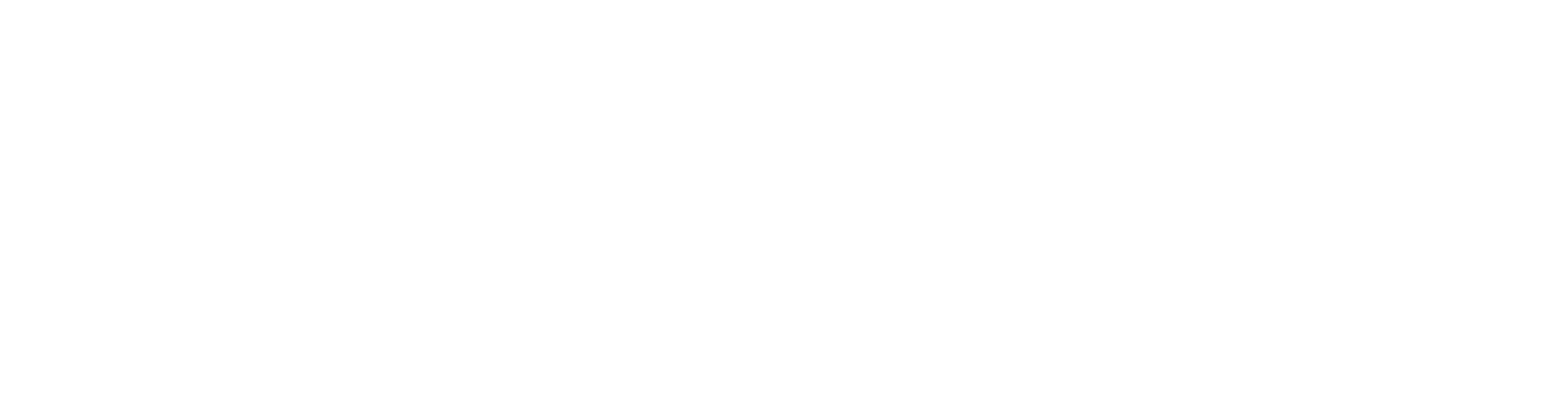 Partner Playbooks Logo